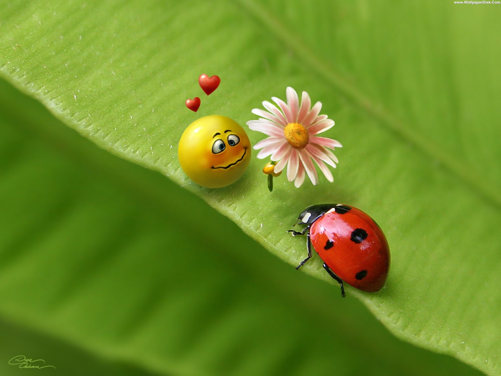 love smiley1206.jpg