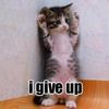 Igiveupkitty.jpg