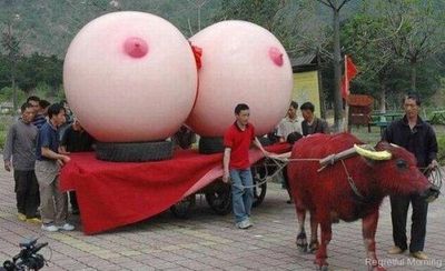 big cart fun boobs.jpg