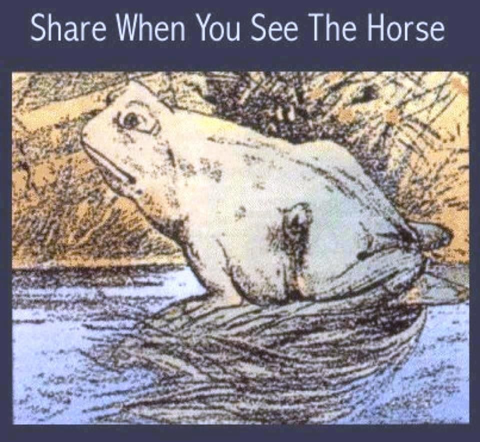 484406_10151553947737557_20472667_n.jpg