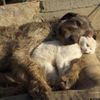 !cid_7_1090490286@web171803_mail_ir2_yahoo.jpg