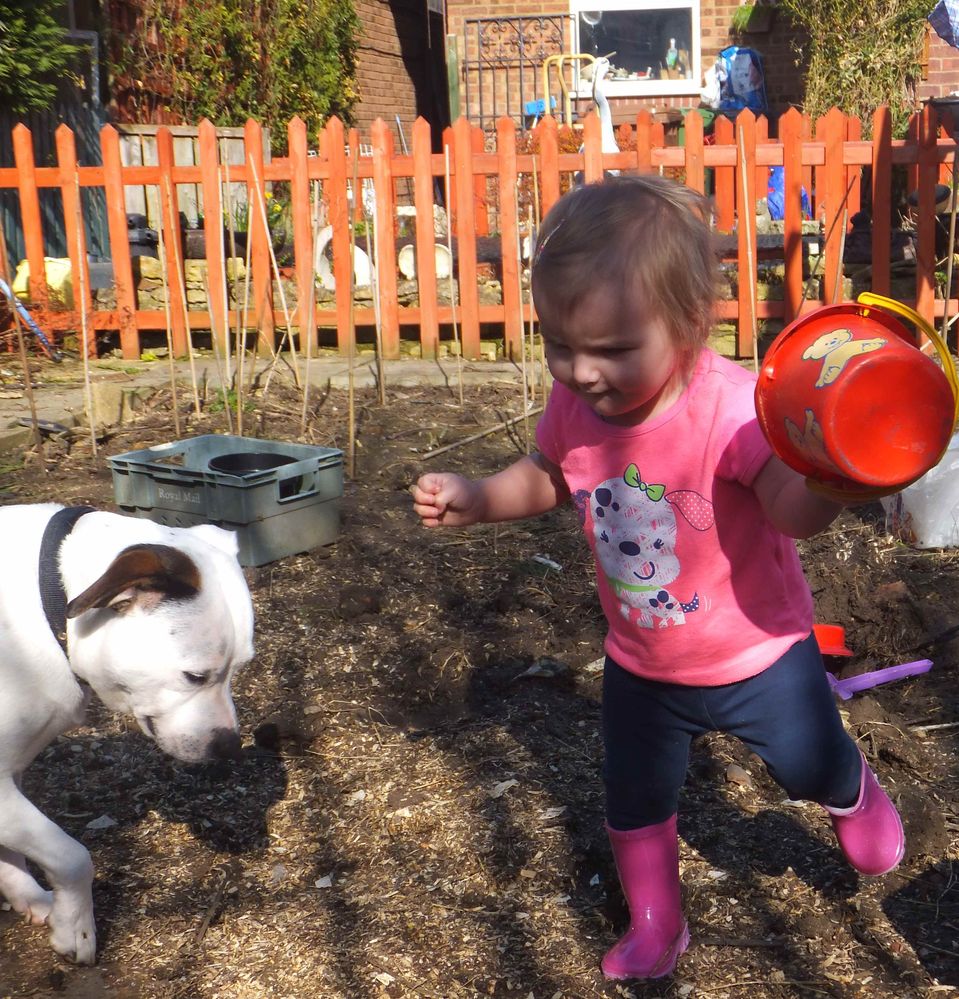milly and Roly.jpg