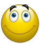 smilie wink.gif