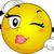 smilie winking sexy.jpg