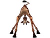 giraffeeee.jpg