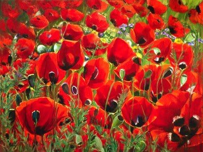 108-1214114752-pictures_of_poppies_.jpg