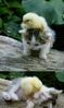 !cid_26_1712003083@web142304_mail_bf1_yahoo.jpg