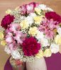 PRODUCT_FLOWERS_Berry_Shine_large.jpg