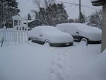 IMG_1147.JPG