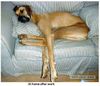 !cid_11_2750129176@web142701_mail_bf1_yahoo.jpg
