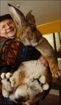 Big Bunny.jpg