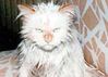 !cid_DDCBF679C3C1456FBF3F28F20E74C214@jof0a40e91b1bc.jpg