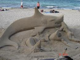 at sharks.jpeg