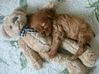 !cid_X_MA6_1383936604@aol.jpg