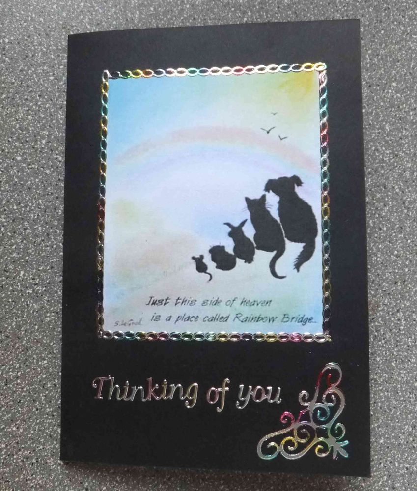 catcard.jpg