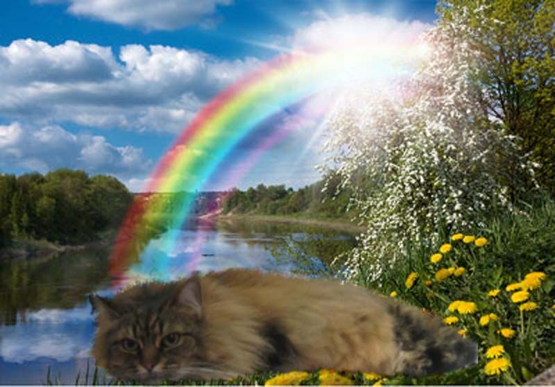 marblerainbow.jpg