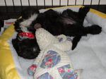 mollynewbed 003 (700x525).jpg