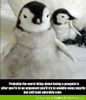 worst thing about being a penguin angry cute.jpg