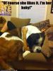 !cid_X_MA11_1358429776@aol.jpg