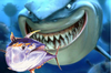 shark.png