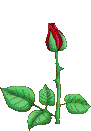 a2.gif
