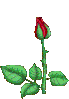 a2.gif