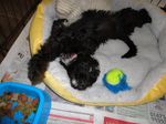 mollyrelaxing 004 (700x525).jpg