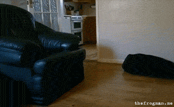 sw.gif