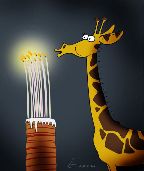 appy giraffe.jpg