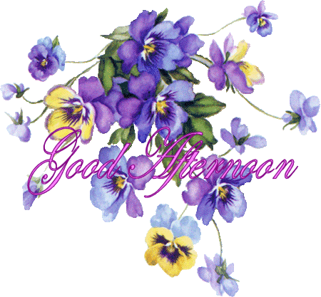 AfternoonPansiesGOODAFTERNOONPANSIE.gif