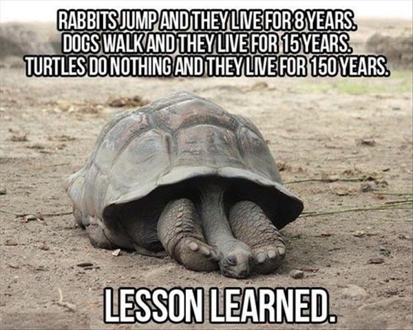 lesson learned.jpg
