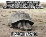 lesson learned.jpg