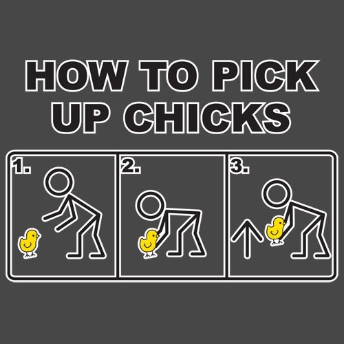 how to pick up chicks.jpg