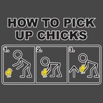 how to pick up chicks.jpg