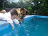 !cid_1_2990288974@web140501_mail_bf1_yahoo.jpg