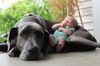 !cid_6_2990288974@web140501_mail_bf1_yahoo.jpg