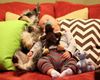!cid_12_1090490286@web171803_mail_ir2_yahoo.jpg