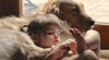 !cid_10_2990288974@web140501_mail_bf1_yahoo.jpg
