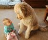 !cid_53C3344EC3CC4BC3A6B83A04F23E17CE@Grant.jpg