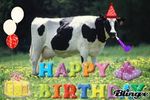 cowcow.jpg