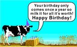 cowbday.jpeg