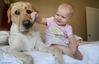 !cid_12_2990288974@web140501_mail_bf1_yahoo.jpg