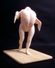 chicken_legs_front.jpg