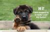 !cid_3_1674950079@web171206_mail_ir2_yahoo.jpg
