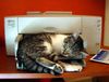 !cid_2_2990197237@web140503_mail_bf1_yahoo.jpg