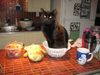 !cid_7_2990197237@web140503_mail_bf1_yahoo.jpg