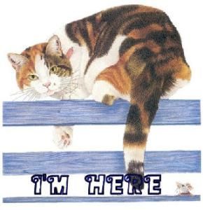 1700025521_300_cache.jpg