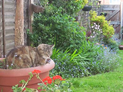 oli in the garden_opt.jpg
