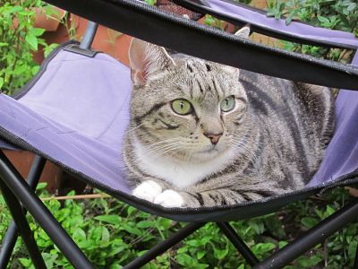 george garden chair_opt.jpg