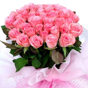 a pink rose bunch.jpg